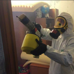 Уничтожение клопов в квартире. Козьмодемьянск